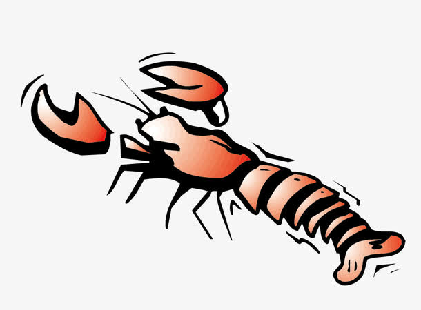 矢量皮皮虾素材