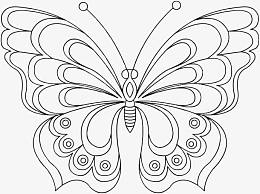 美丽的蝴蝶准备飞翔