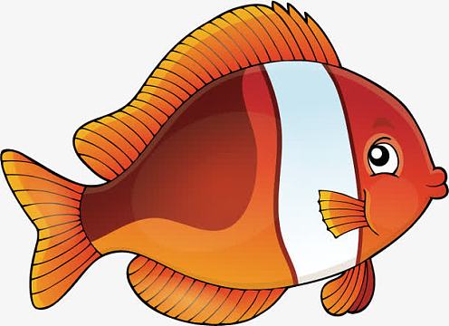 海底世界色彩斑斓的热带鱼