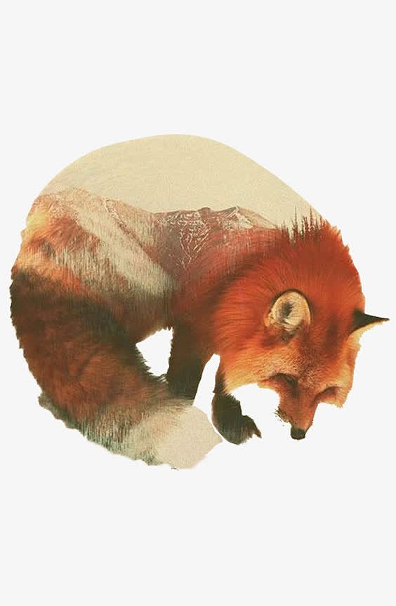 狐狸动物插画创意