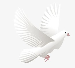 矢量白鸽