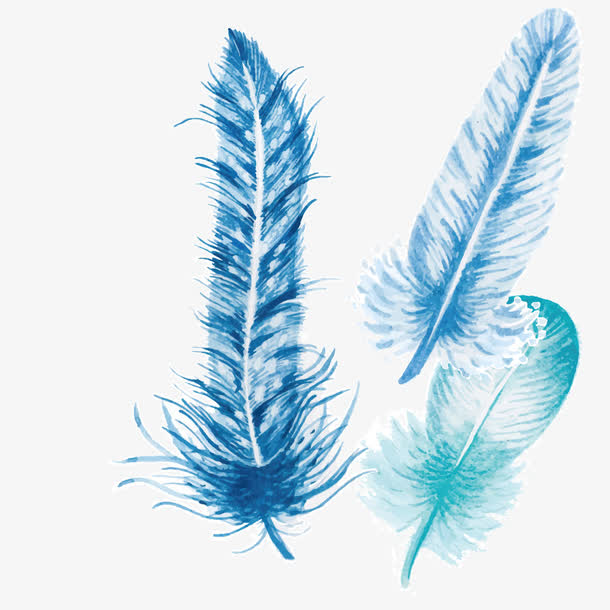 蓝色的羽毛矢量素材