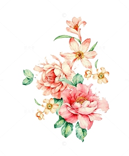 手绘花卉