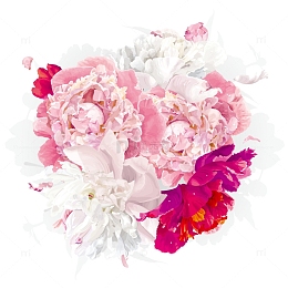 梦幻高清牡丹花免费下载