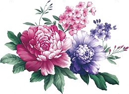 水彩画牡丹花
