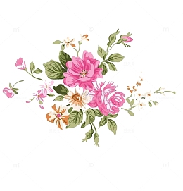 花朵插画