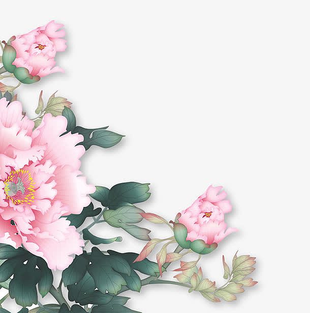 粉色中国风牡丹花