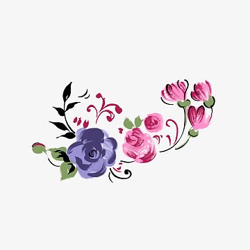 杜鹃花