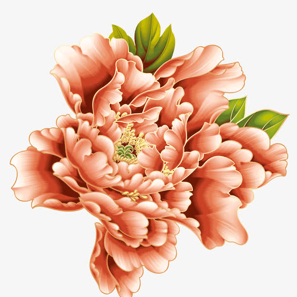 牡丹花装饰图案免抠素材