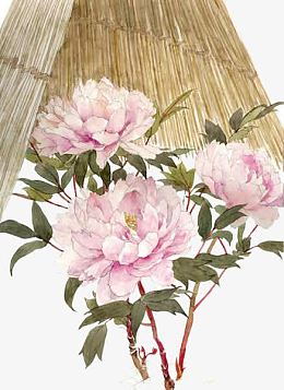唯美中国古风水彩插画牡丹花与斗