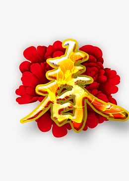 春暖牡丹花开