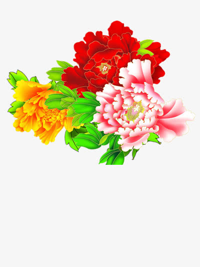 鲜艳的牡丹花图片素材