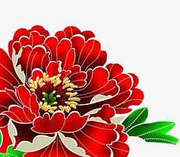 牡丹花开