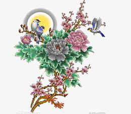 牡丹花开