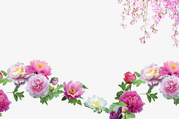 牡丹花装饰背景效果