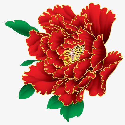 牡丹花免扣图片素材