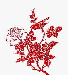 牡丹花开