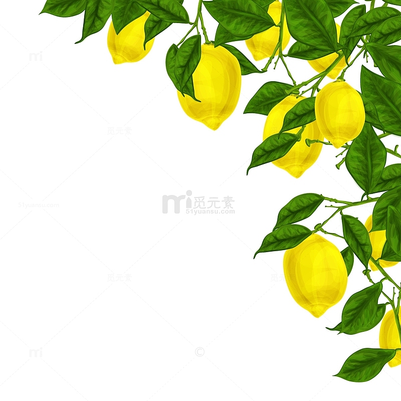 矢量柠檬树