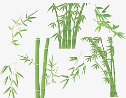 竹叶素描竹叶素材