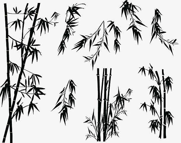 竹子素描竹子剪影 卡通手绘竹子