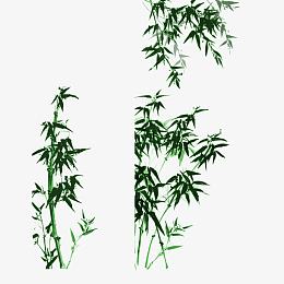 矢量图文雅竹子