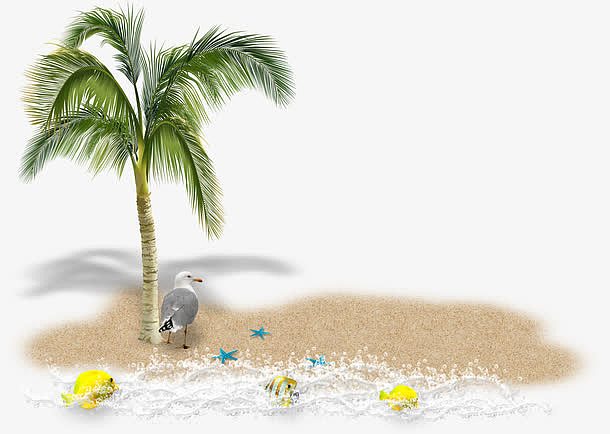 沙滩海鸥椰子树