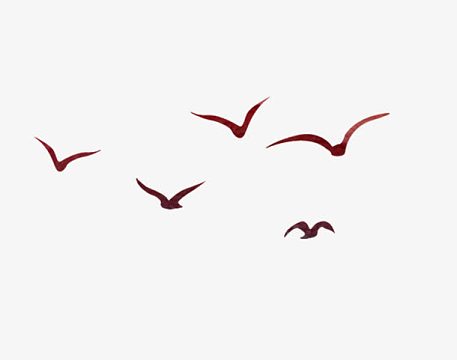 一群飞鸟