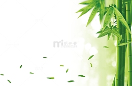 环保素材竹子叶落