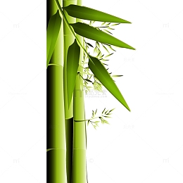 绿色竹子矢量