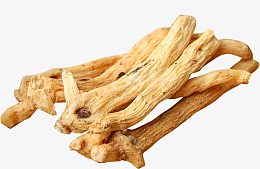 野生玉竹茶