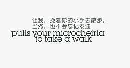 挽着你的小手