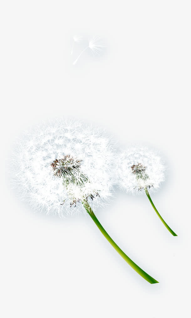 图片idllcquypakk图片格式png图片规格1417*2362 | 72dpi图片大小1.