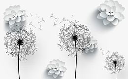 立体蒲公英