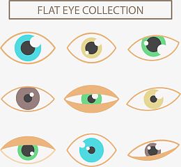 扁平化眼睛形态