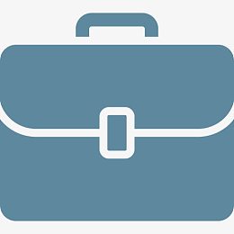 袋公文包业务情况下工作投资组合