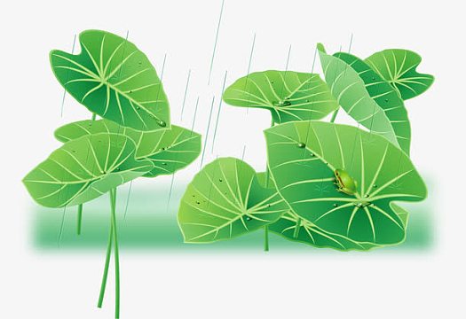 png水果小清新卡通景色(1116x729)psdpng夏天小清新小暑节气荷花荷叶