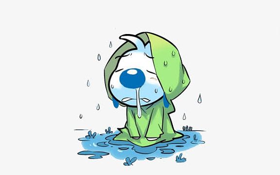 淋雨的狗