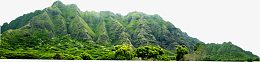 郊游大山树林风景