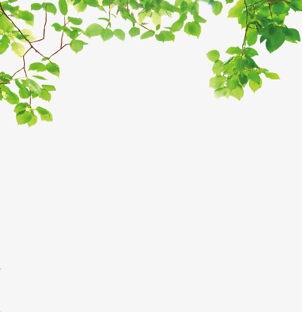 环保藤蔓树枝装饰