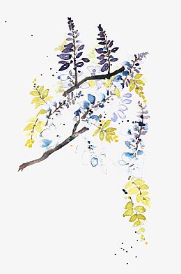 墨水手绘紫藤花图片素材