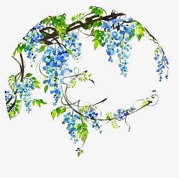 清新紫藤花图片素材