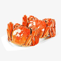 大闸蟹食品