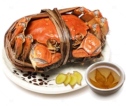 大闸蟹食品