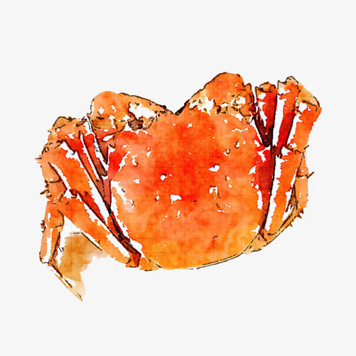 毛蟹手绘画素材图片