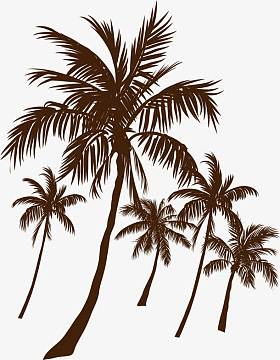 手绘椰树