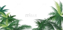 绿色椰子树叶