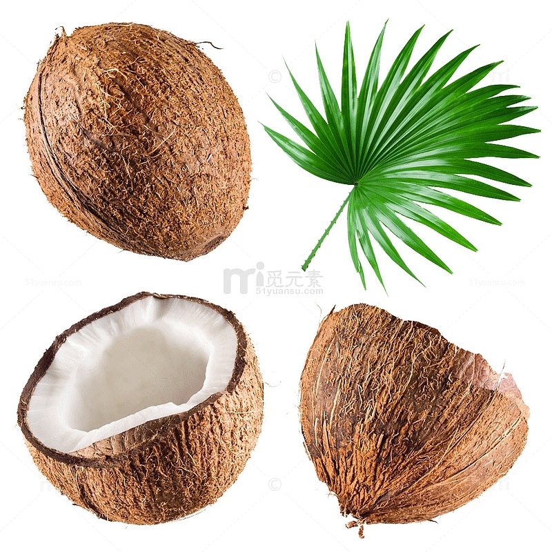 水果椰子素材