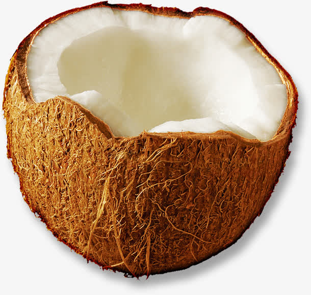椰子素材免费下载_觅元素