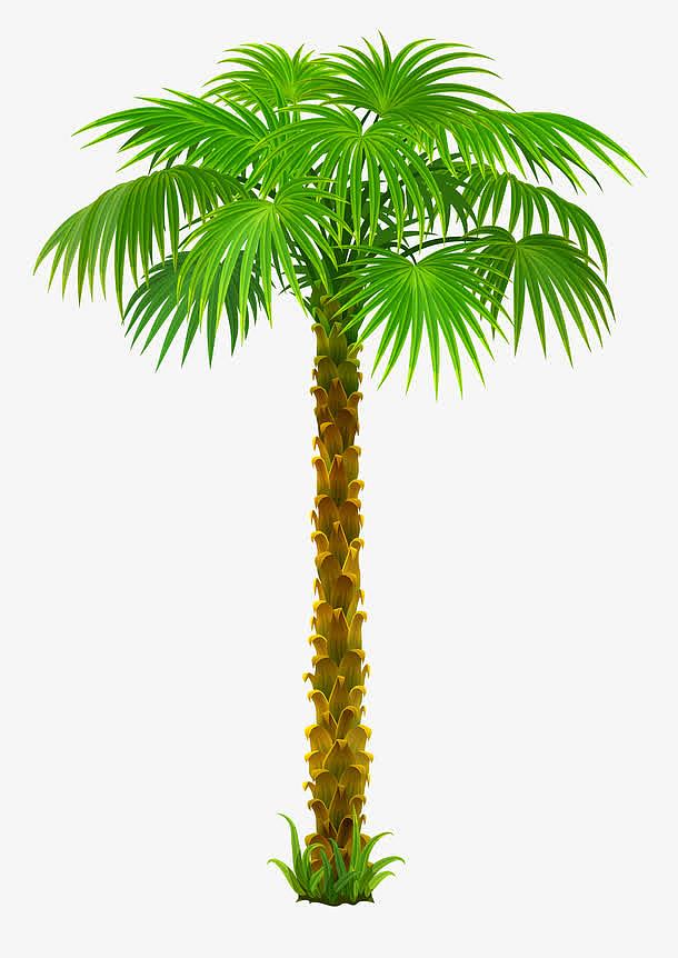 椰子树旅游海报装饰素材