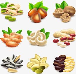 美味的食品美食设计矢量素材,,